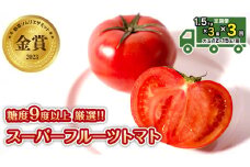 先行予約 【定期便】 1.5kg×3箱× 3回お届け！ スーパーフルーツトマト中箱 【大玉 12～15玉/1箱】糖度9度以上[AF045ci]