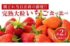 完熟 やよいひめ ・ とちおとめ 食べ比べ 2パック 先行予約 大粒 イチゴ 苺 いちご フルーツ 果物 [AF060ci]