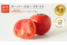 スーパーフルーツトマト 小箱 約800g × 1箱 【大玉7～13玉/1箱】 糖度9度 以上 トマト とまと フルーツトマト フルーツ 野菜 やさい 高糖度 [AF067ci]
