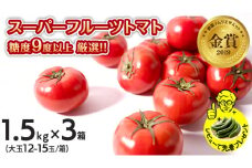 スーパーフルーツトマト 中箱 1.5kg × 3箱 【大玉 12～15玉/1箱】 糖度9度 以上 野菜 フルーツ トマト フルーツ トマト とまと [AF066ci]