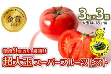 超大玉 スーパーフルーツトマト 大箱 3kg × 3箱 【14～18玉/1箱】 糖度9度 以上 野菜 フルーツ トマト フルーツ トマト とまと [AF065ci]