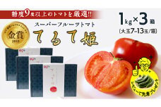 てるて姫 小箱 1kg × 3箱 【7~13玉/1箱】 糖度9度以上 スーパーフルーツトマト 野菜 フルーツ トマト フルーツ トマト とまと [AF071ci]