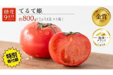 【 早期申込み限定 特別寄附額 】 てるて姫 小箱 約800g × 1箱 【7~13玉/1箱】 2026年産 てるてひめ 糖度9度 以上 スーパーフルーツトマト 野菜 フルーツトマト フルーツ トマト とまと [AF070ci]