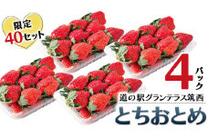 限定40セット！道の駅グランテラス筑西【苺】とちおとめ4パック （1月上旬より随時発送）苺 いちご イチゴ 数量限定 とちおとめ 甘い [BW049ci]