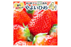 【先行予約】限定40セット！道の駅グランテラス筑西【苺】やよいひめ4パック （1月上旬より随時発送）苺 いちご イチゴ 数量限定 やよいひめ 甘い [BW048ci]