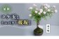 ※画像はイメージです。