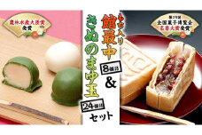 もち入り館最中8個詰　きぬのまゆ玉24個詰（絹白・抹茶各12個）[AO007ci]