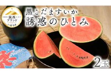 受付は本日まで!!【 JA北つくば 】 黒こだますいか 「 誘惑のひとみ 」 2玉 先行予約 スイカ 果物 フルーツ 小玉スイカ 小玉 西瓜 くだもの デザート 茨城 [AE017ci]
