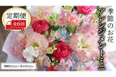 ≪定期便≫季節のお花アレンジメントミニ＊6回 アレンジメント 生花 [CT013ci]
