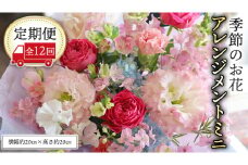 ≪定期便≫季節のお花アレンジメントミニ＊12回 アレンジメント 生花 [CT014ci]