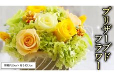 プリザーブドフラワーS プリザーブドフラワー インテリア [CT032ci]