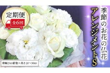季節のお花の仏花アレンジメントS＊定期便6回 アレンジメント 仏花 生花 お供え [CT029ci]