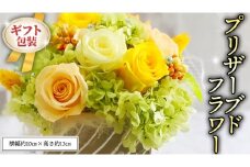 ≪ギフト≫プリザーブドフラワーS プリザーブドフラワー インテリア ギフト プレゼント 誕生日 記念日 母の日 父の日 [CT031ci]