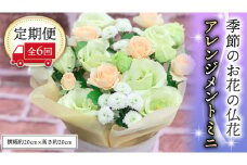 季節のお花の仏花アレンジメントミニ＊定期便6回 アレンジメント 仏花 生花 お供え [CT028ci]