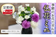 ≪定期便≫季節のお花で束ねる仏花ミニ＊定期便12回 花束 仏花 生花 お供え [CT024ci]