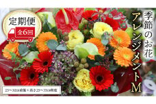 ≪定期便≫季節のお花アレンジメントM＊6回 アレンジメント 生花 [CT020ci]