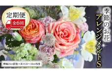 ≪定期便≫季節のお花アレンジメントS＊6回 アレンジメント 生花 [CT017ci]