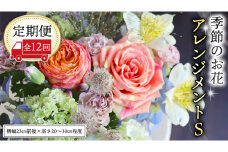 ≪定期便≫季節のお花アレンジメントS＊12回 アレンジメント 生花 [CT018ci]