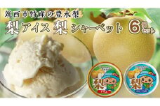 梨アイス・梨シャーベット セット 詰め合わせ フルーツ [AJ029ci]