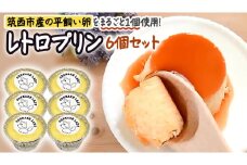 【 ODEKAKE LADY 】 レトロプリン 6個 セット 贅沢 平飼い卵 昔プリン ぷりん 洋菓子 お菓子 スイーツ デザート [BW068ci]