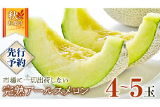 完熟 アールスメロン 大箱 4玉～5玉 2025年産 先行予約 メロン マスクメロン 青肉 果物 フルーツ 茨城県産 期間限定 数量限定 [AF082ci]