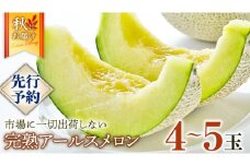 完熟 アールスメロン 大箱 4玉～5玉 2025年産 先行予約 メロン マスクメロン 青肉 果物 フルーツ 茨城県産 期間限定 数量限定 [AF082ci]