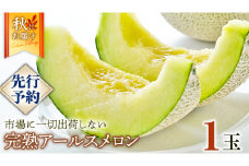 完熟 アールスメロン 1玉 2025年産 先行予約 メロン マスクメロン 青肉 果物 フルーツ 茨城県産 期間限定 数量限定 [AF086ci]