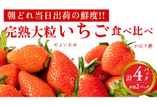 完熟 かおり野 ・ やよいひめ 食べ比べ 4パック 先行予約 大粒 イチゴ 苺 いちご フルーツ 果物 [AF089ci]