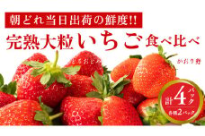 完熟 かおり野 ・ とちおとめ 食べ比べ 4パック 先行予約 大粒 イチゴ 苺 いちご フルーツ 果物 [AF088ci]