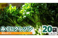 【 先行予約 】 みくにクレソン100g×20袋 美容 健康 野菜 スーパーフード クレソン [CY005ci]
