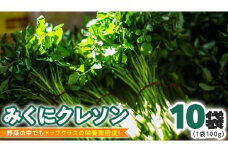 【 先行予約 】 みくにクレソン100g×10袋 美容 健康 野菜 スーパーフード クレソン [CY003ci]