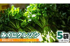 【 先行予約 】 みくにクレソン100g×5袋 美容 健康 野菜 スーパーフード クレソン [CY001ci]