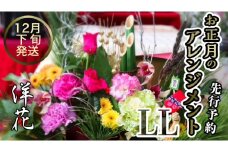 【先行予約】【洋花】 お正月のアレンジメントLL 12月下旬配送 お正月 花 生花 縁起物 フラワーアレンジメント ギフト [CT058ci]