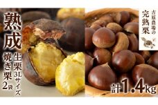 【 吉原農場 の 完熟栗 】 熟成 生栗 1kg 3Lサイズ  ・ 焼き栗 2袋 セット 令和7年産 完熟 栗 くり クリ 栗ごはん 贈答 ギフト 果物 フルーツ 数量限定 旬  秋 冬 正月 おせち [CX008ci]