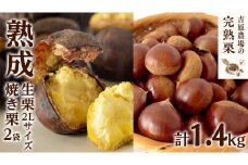 【 吉原農場 の 完熟栗 】 熟成 生栗 1kg 2Lサイズ  ・ 焼き栗 2袋 セット 令和7年産 完熟 栗 くり クリ 栗ごはん 贈答 ギフト 果物 フルーツ 数量限定 旬  秋 冬 正月 おせち [CX007ci]