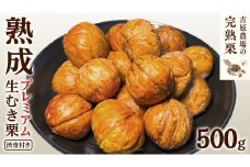 【 吉原農場 の 完熟栗 】 熟成 プレミアム 生むき栗 ( 渋皮付き ) 1袋 500g 令和7年産 完熟 生栗 生むき栗 焼き栗 くり クリ 栗ごはん 贈答 ギフト 果物 フルーツ 数量限定 旬 秋 冬 正月 おせち [CX013ci]