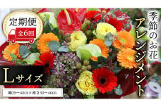 【 定期便 6ヶ月 】 毎月届く 季節の アレンジメント Lサイズ 花 生花 6回 おうち時間 定期便 新生活 応援 [CT064ci]