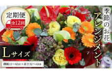 【 定期便 12ヶ月 】 毎月届く 季節の アレンジメント Lサイズ 花 生花 1年間 おうち時間 定期便 新生活 応援 [CT063ci]