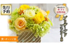 【 母の日 】 黄色 ・ オレンジ 系 プリザーブド フラワー S ギフト プレゼント 花 お祝い 贈答 記念日 [CT071ci]