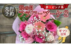 【 母の日 】 ブーケ S 赤 ・ ピンク 系 ギフト プレゼント 花 お祝い 贈答 記念日 [CT088ci]