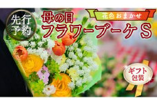 【 母の日 】 ブーケ S 花色 おまかせ ギフト プレゼント 花 お祝い 贈答 記念日 [CT090ci]