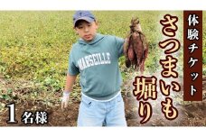 【 チケット 】 さつまいも掘り 体験 1名様 芋ほり イモ サツマイモ さつま芋 収穫 [CO006ci]