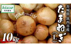 ASIAGAP認証農場 の たまねぎ 10kg ( Lサイズ ) 令和7年産 先行予約 玉ねぎ 玉葱 タマネギ 有機栽培 野菜 ASIAGAP [DD004ci]