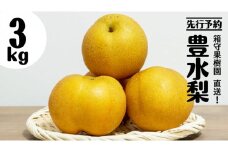 【 先行予約 】箱守果樹園 直送！ 豊水梨 3kg なし 梨 ほうすい 豊水 果実 果物 フルーツ [DE001ci]