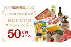 筑西市厳選！ とっておきのお礼の品  あなただけの コンシェルジュ 50万円 コース オーダーメイド サービス [ZZ020ci]