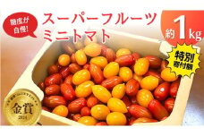 【 早期申込み限定 特別寄附額 】 スーパーフルーツ ミニトマト 約1kg 2026年産 野菜 フルーツトマト フルーツ トマト とまと [AF096ci]