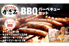 【 熨斗付き 】 ～ 匠のハム工房 ～ 燻製職人 ！ 風實 バーベキューセット ギフト 贈答用 詰め合わせ 冷凍 BBQ バーベキュー パーティー ベーコン ローズポーク スペアリブ ソーセージ ポークソーセージ 豚 かざみ  [AJ003ci]