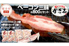 【 熨斗付き 】 ～ 匠のハム工房 ～ 燻製職人 ！ 風實 熟成 ベーコン 三昧 ギフト 贈答 詰め合わせ 小分け 冷凍 豚肉 燻製 豚バラ ベーコン ブロック 厚切り 豚 かざみ [AJ004ci]