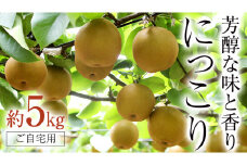 芳醇な味と香り 『 にっこり 』 5kg ( 自家用 ) 2025年産 先行予約 フルーツ 果物 国産 日本産 梨 ナシ なし 和梨 [DJ004ci]