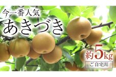 今一番人気 『 あきづき 』 5kg ( 自家用 ) 2025年産 先行予約 フルーツ 果物 国産 日本産 梨 ナシ なし 和梨 [DJ003ci]